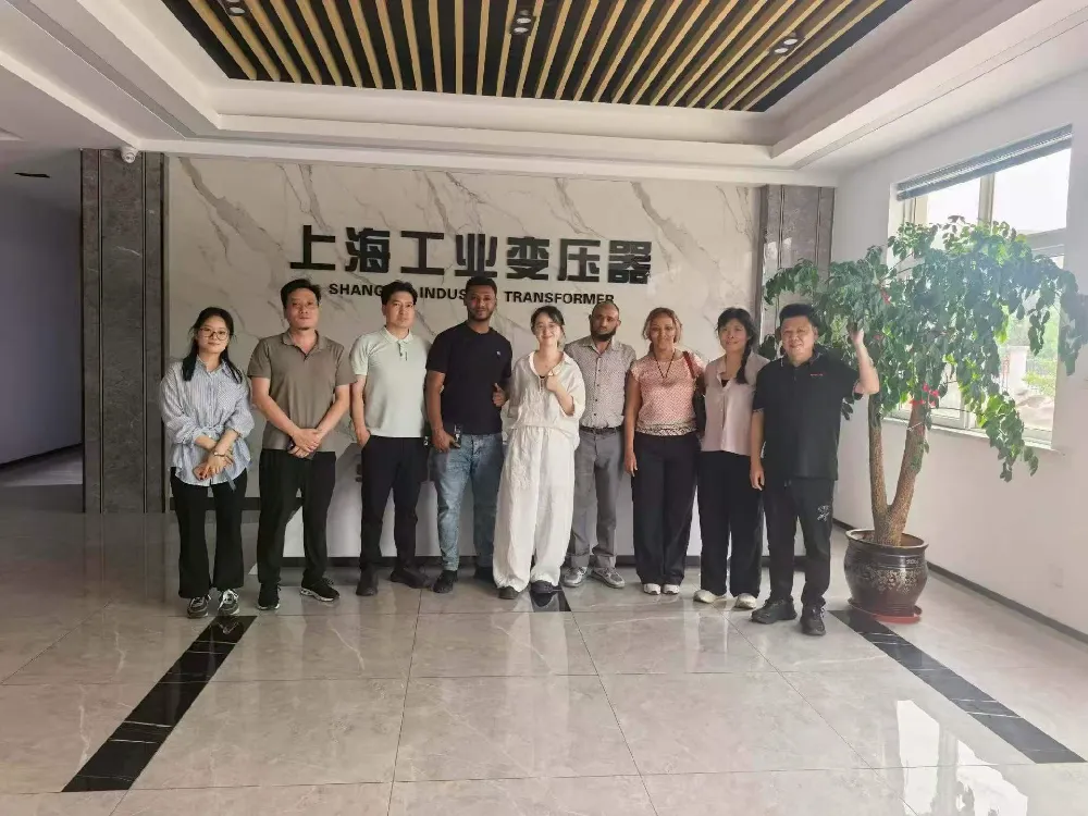 Caloroso benvenuto! La delegazione etiope visita Shanghai Industrial Transformer Co., Ltd. per uno scambio di trasformatori e apparecchiature di distribuzione dell'energia